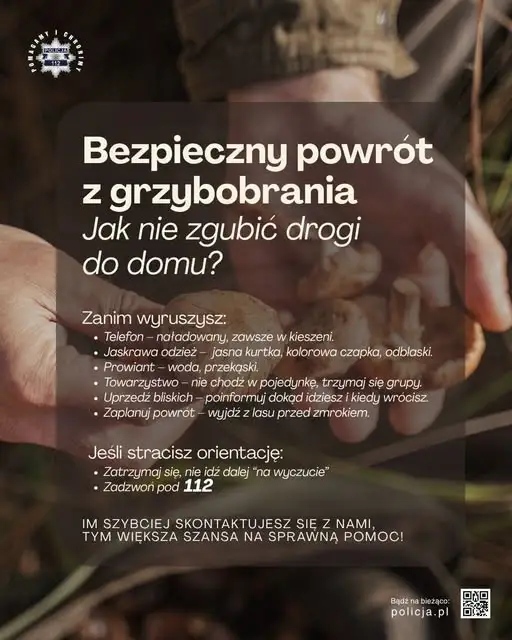 Sezon na grzyby w pełni. Policja apeluje: te zasady mogą uratować życie w lesie